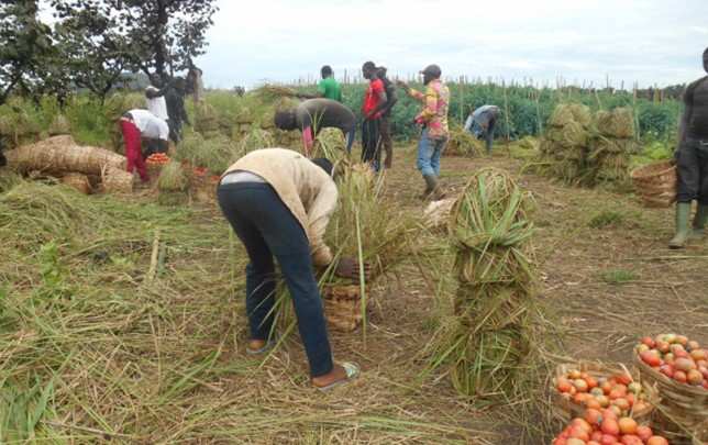Vie Rurale Authentique